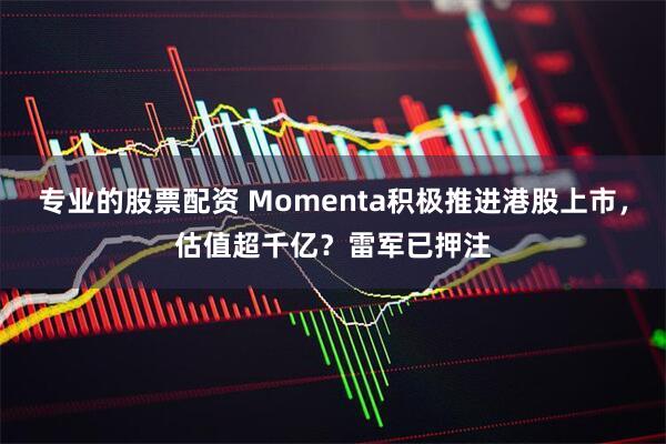 专业的股票配资 Momenta积极推进港股上市，估值超千亿？雷军已押注